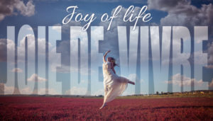 AUGUST2019-joy-of-life